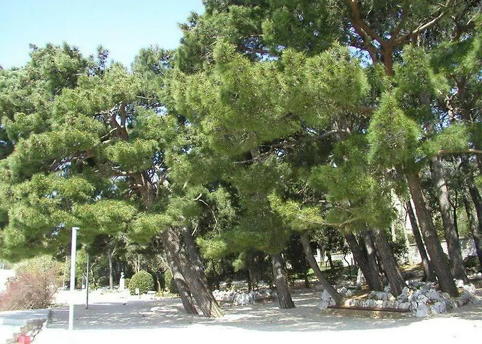 Apartment Mauro Novi Vinodolski